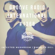 2019-01-30 - Swedish Egil, Infected Mushroom - Groove Radi …