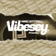 2019-02-08 - Marc Cotterell - Vibesey Presents