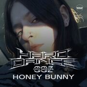 2019-03-07 - Honey Bunny - Hard Dance 002