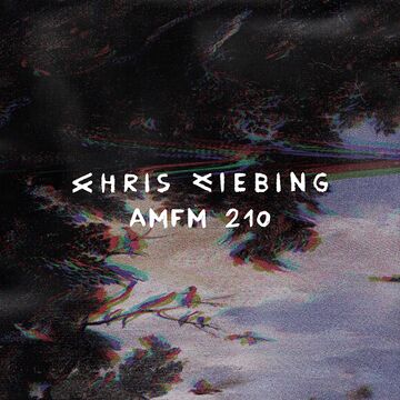 2019-03-18 - Chris Liebing - amfm 210.jpg