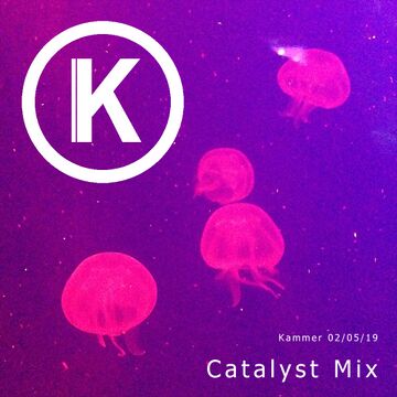 2019-05-02-Kammer-Catalyst-Mix.jpg