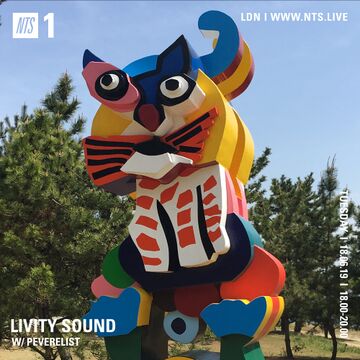 2019-06-18 - Peverelist - Livity Sound, NTS Radio.jpg