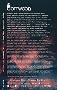 2019-06 - DJ Tennis @ Gottwood Festival, Wales