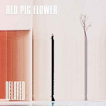 2019-11-22 - Red Pig Flower - Delayed with....jpg