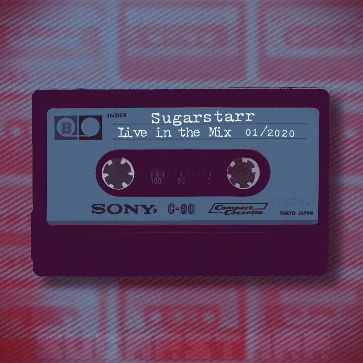 File:2020-01-16 - Sugarstarr - Sugarstarr's House Party 01-2020.jpg