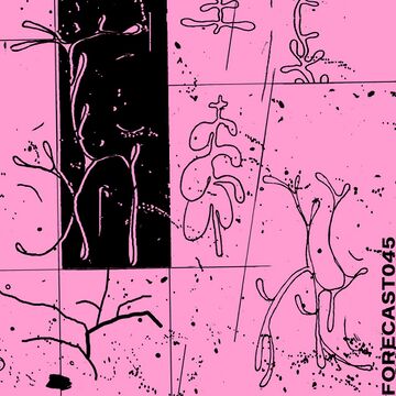 2020-02-24 - Inner Totality - 12th Isle Forecast 045.jpg