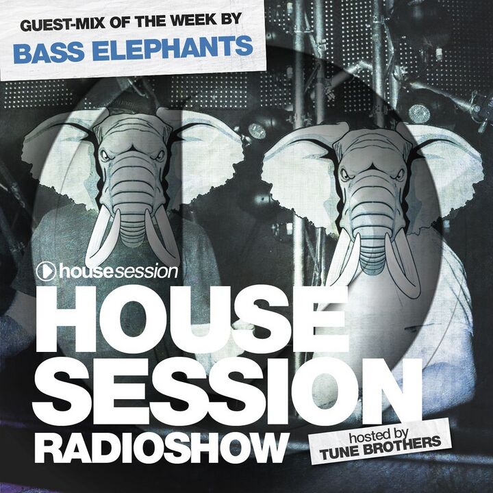 File:2020-04-17 - Tune Brothers, Bass Elephants - Housesession 1165.jpg
