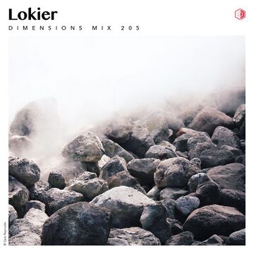 2020-04-23 - Lokier - Dimensions Festival Mix 205.jpg