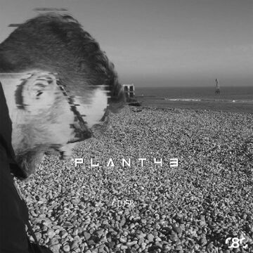 2020-04-27 - Plant43 - DUSK080.jpg