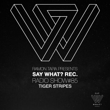 2020-05-04 - Tiger Stripes - Say What Radio Show 085.jpg