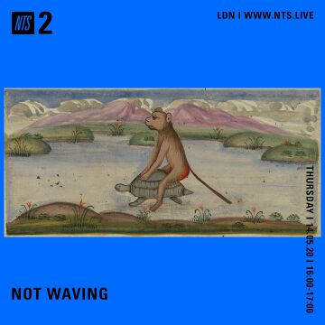 2020-05-14 - Not Waving - NTS Radio.jpg