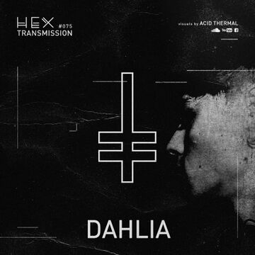 2020-05-23 - Dahlia - HEX Transmission 075.jpg