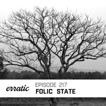 2020-08-01 - Folic State - Erratic Podcast 217.jpg