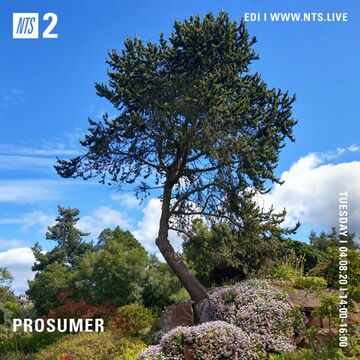 2020-08-04 - Prosumer - NTS Radio.jpg