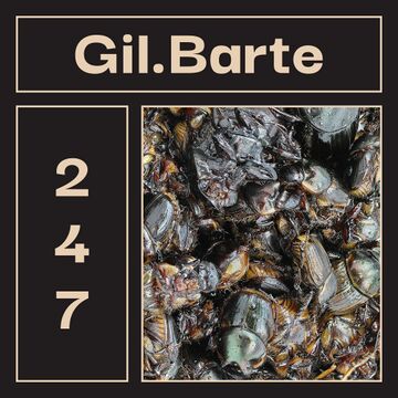 2020-11-02 - Gil.Barte - LAYER 247.jpg