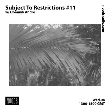 2020-11-04 - Dominik André - Subject To Restrictions 11, Noods Radio.jpg