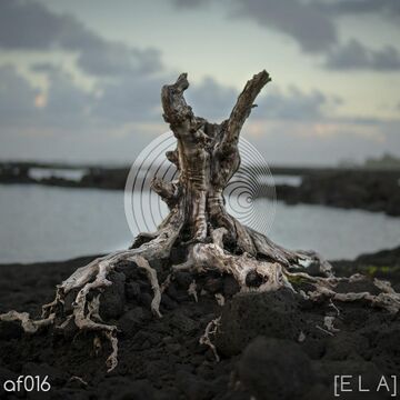 2020-11-19 - E L A - Anodynic Frequencies 016.jpg