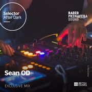 2020-11-27 - Sean OD - The Selector After Dark