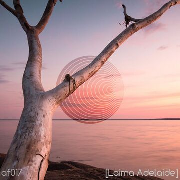 2020-12-08 - Laima Adelaide - Anodynic Frequencies 017.jpg