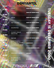 Thumbnail for File:2020-12-15 - Dekmantel Connects.png