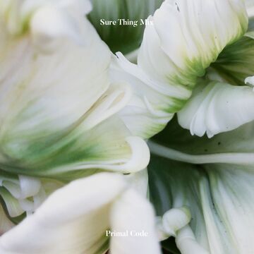 2020-12-16 - Primal Code - Sure Thing Mix 99.jpg