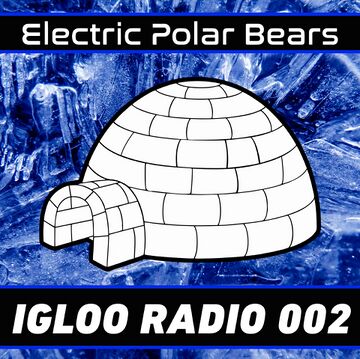 2021-03-05 - Electric Polar Bears - Igloo Radio 002.jpg
