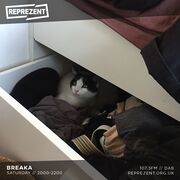 2021-04-24 - Breaka - Reprezent