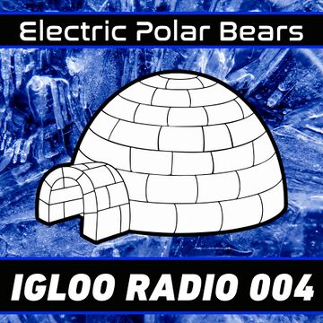 2021-07-14 - Electric Polar Bears - Igloo Radio 004.jpg