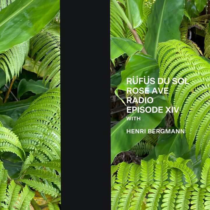 File:2021-07-29 - RÜFÜS DU SOL, Henri Bergmann - Rose Ave Radio 14.jpg