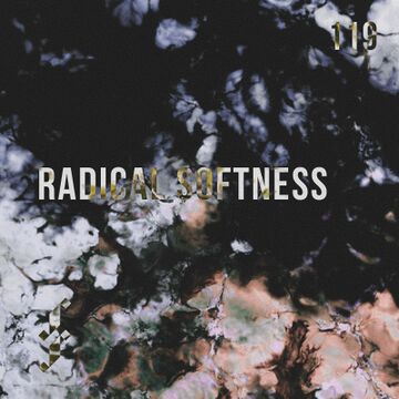 2022-05-10 - Radical Softness - Frenzy Podcast 119.jpg