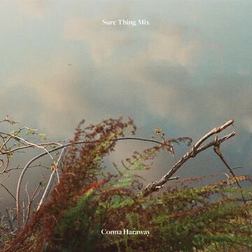 2022-10-07 - Conna Haraway - Sure Thing Mix 115.jpg