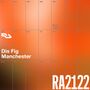 Thumbnail for File:2022-11-12 - Dis Fig @ RA2122, The Loft, Manchester (RA Live).jpg
