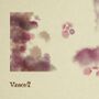 Thumbnail for File:2022-11-22 - Vinsen - Above Below.jpg