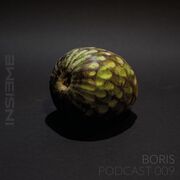 2023-01-15 - Boris - INSIEME Podcast 009