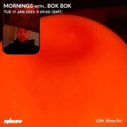 2023-01-17 - Bok Bok - Mornings with..., Rinse FM