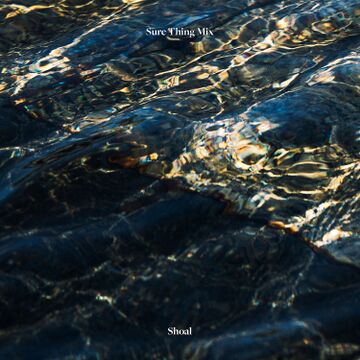 2023-02-06 - Shoal - Sure Thing Mix 120.jpg