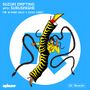 Thumbnail for File:2023-03-10 - Surusinghe - Suzuki Drifting, Rinse FM.jpg