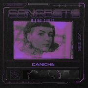 2023-04-23 - Caniche - Concrete Mixing Series 102