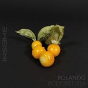 2023-05-08 - Rolando - INSIEME Podcast 014