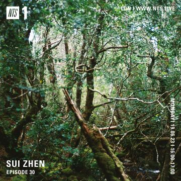 2023-06-19 - Sui Zhen - NTS Radio.jpg