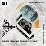 Thumbnail for File:2023-10-14 - GiGi FM - GiGi FM Presents Somatic Ritual, NTS Radio.jpg
