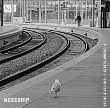 2024-01-25 - Nosedrip - NTS Radio.gif