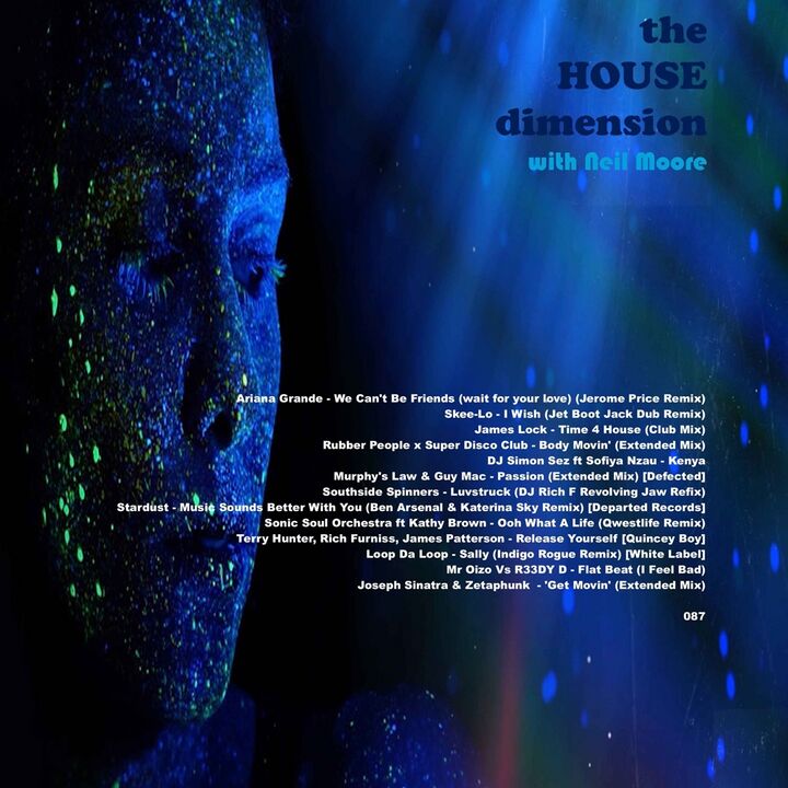 File:2024-03-23 - Neil Moore - The House Dimension 087.jpg