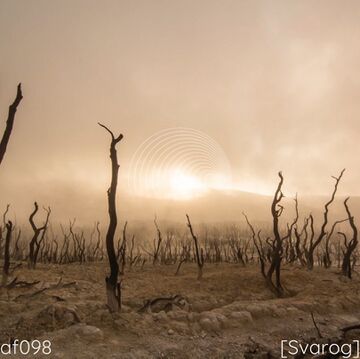 2024-04-18 - Svarog - Anodynic Frequencies 098.jpg