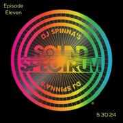 2024-05-30 - DJ Spinna - Sound Spectrum 11