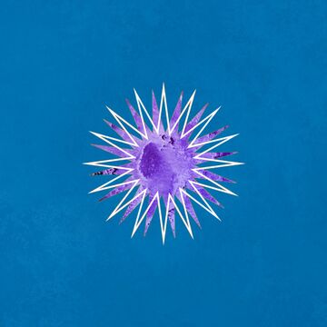 2024-06-05 - Ornery - Prima Lux.jpg