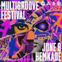 Thumbnail for File:2024-06-08 - Multigroove Festival, Hemkade.jpg