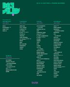 2024-07-1X - Ryan Elliott @ Butik Festival, Slovenia