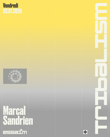 2025-01-03 - Tribalism, essaim.webp