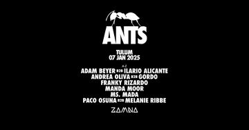 2025-01-07 - ANTS, Zamna, Tulum, Mexico.jpg